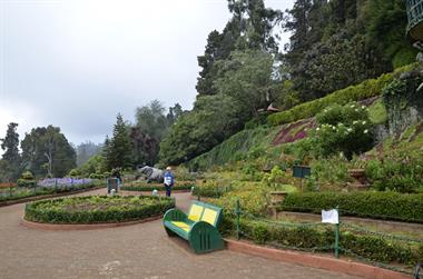 Botanical Garden, Ooty_DSC5610_H600